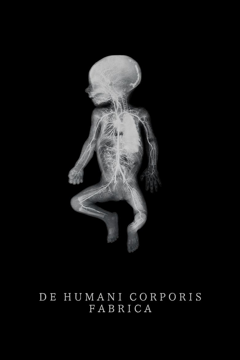 Poster of De Humani Corporis Fabrica