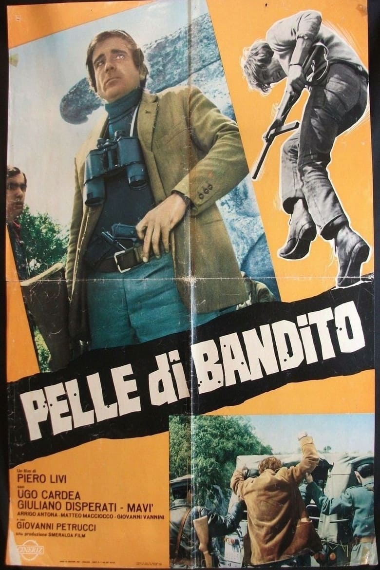 Poster of Bandit Skin