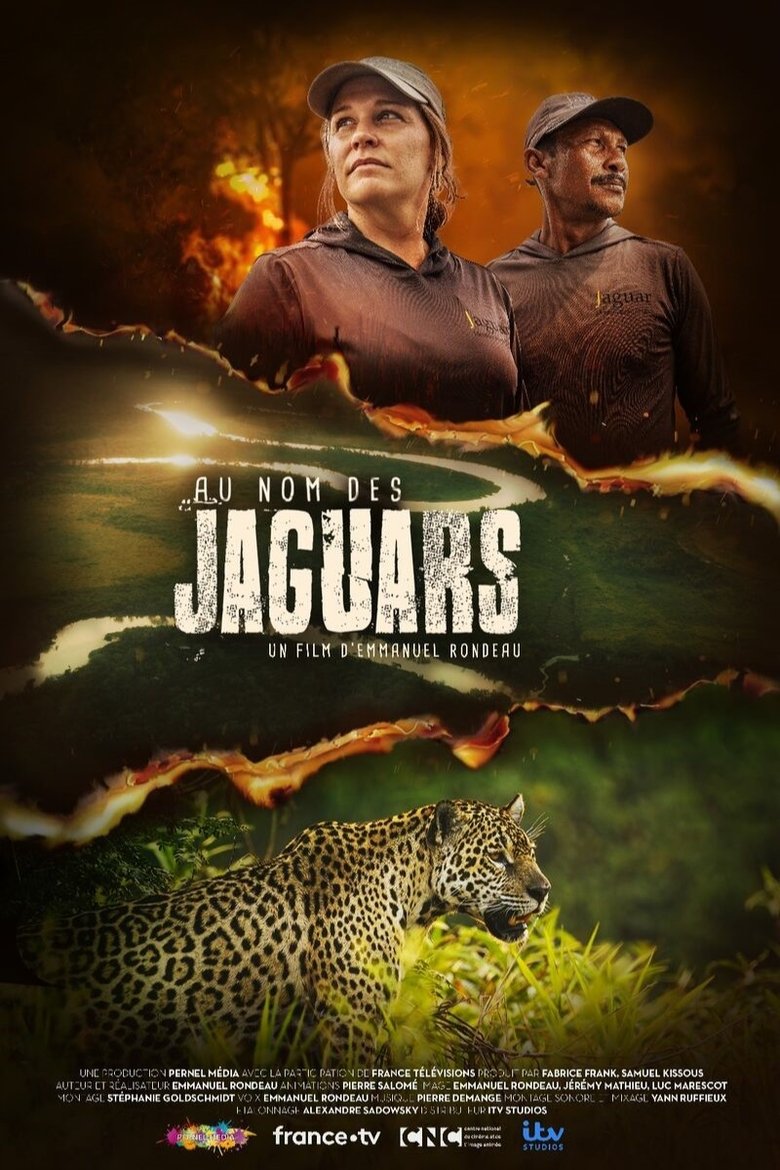 Poster of Au nom des jaguars