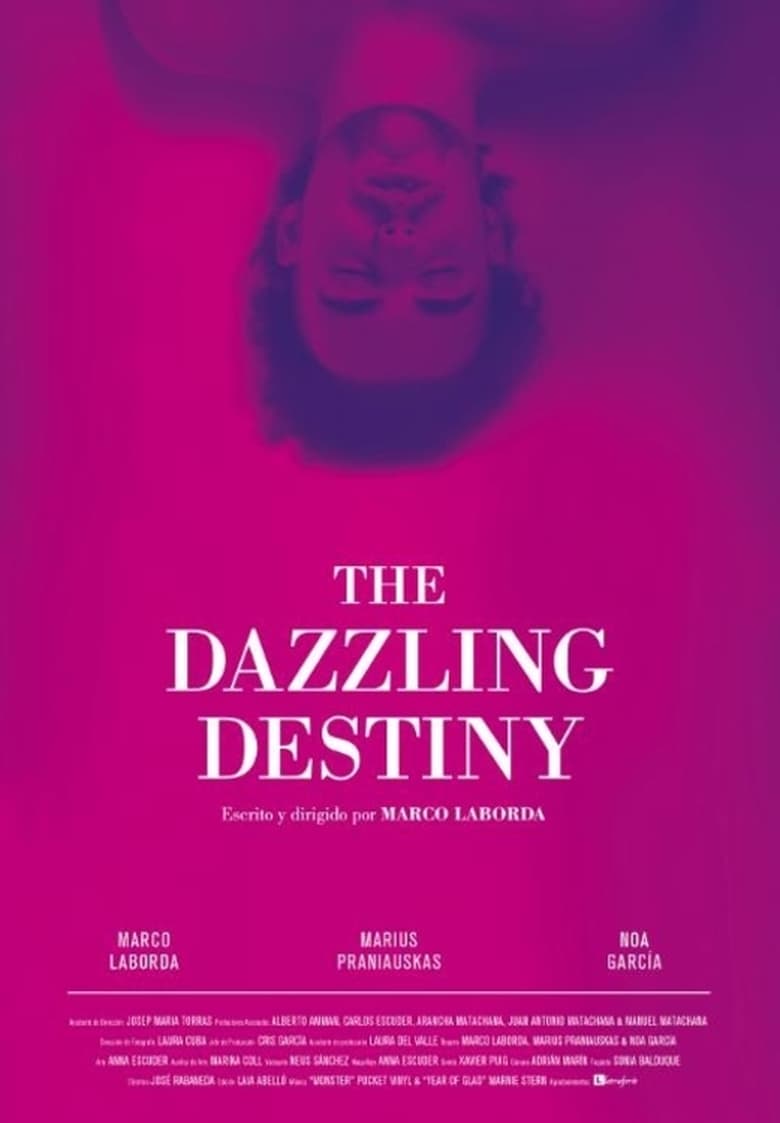 Poster of The Dazzling Destiny