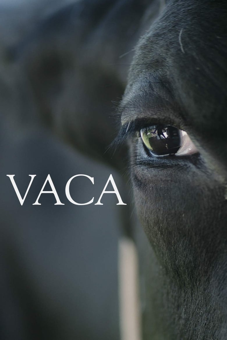 Poster of Vaca