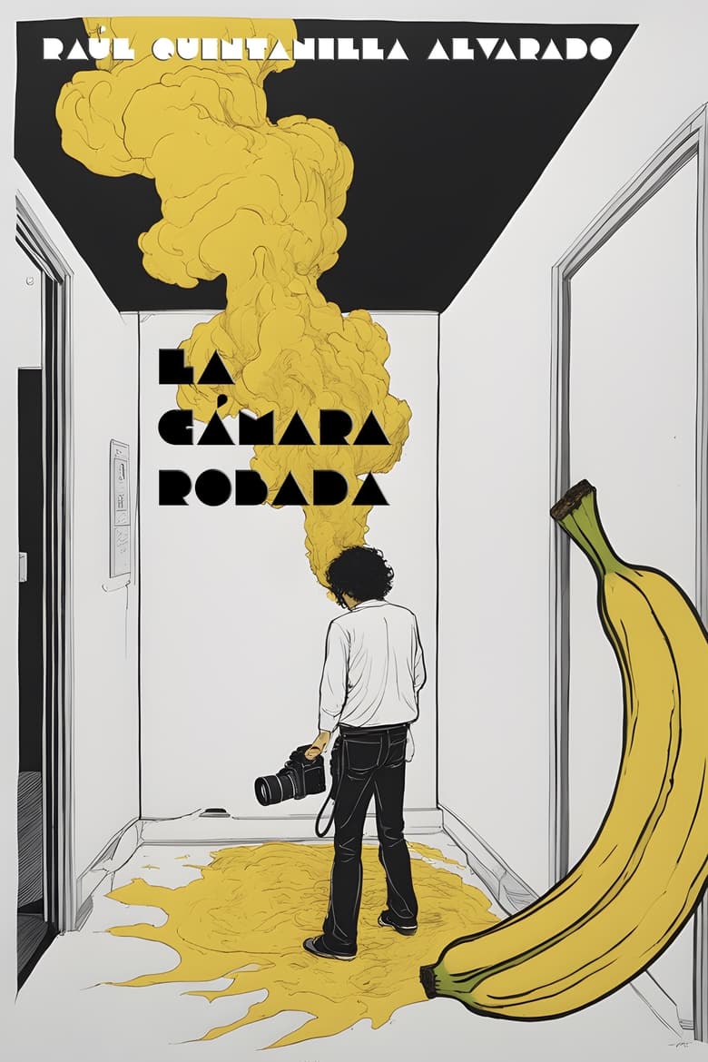 Poster of La cámara robada