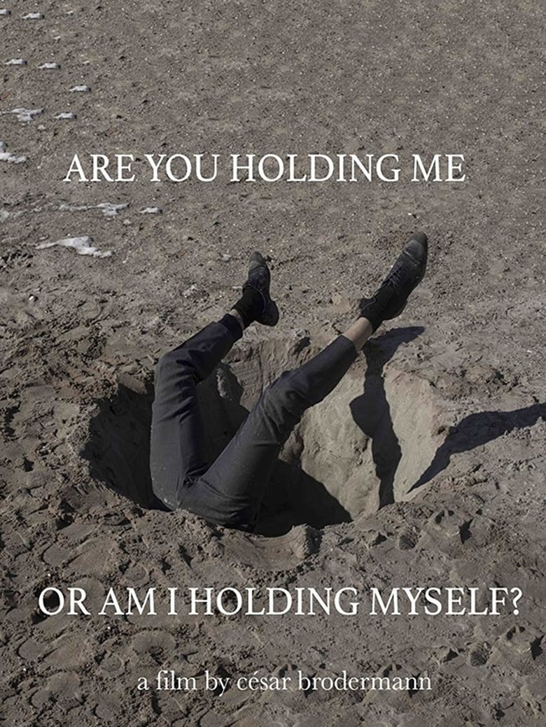 Poster of Are You Holding Me, or Am I Holding Myself?