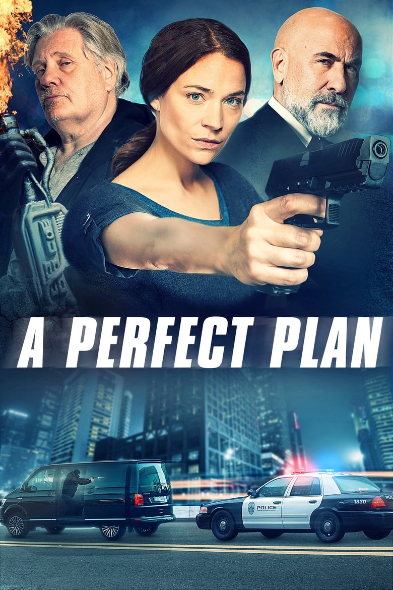 Poster of A Perfect Plan