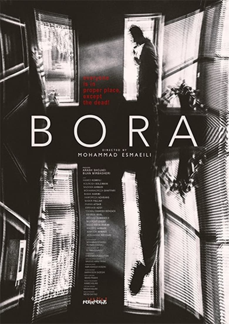 Poster of The Bora