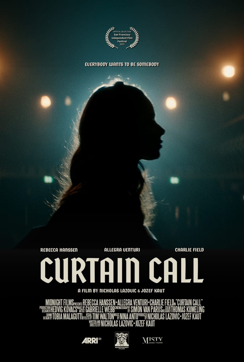 Poster of Curtain Call