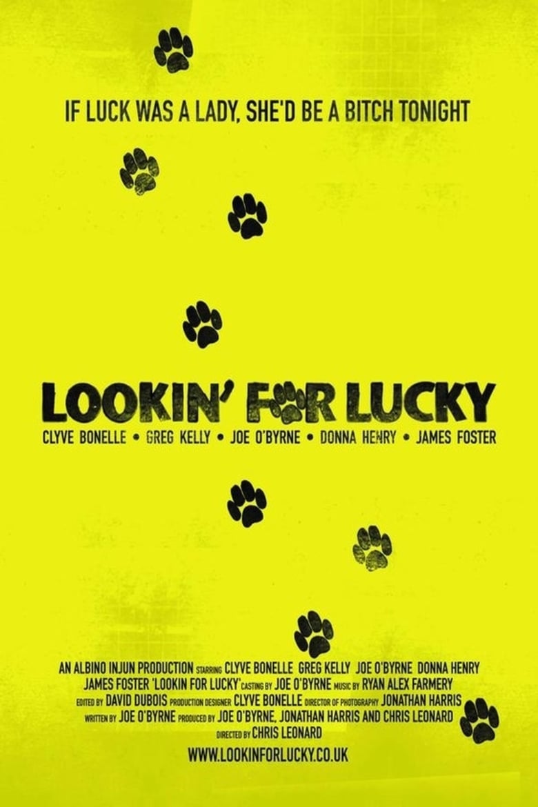 Poster of Lookin' For Lucky