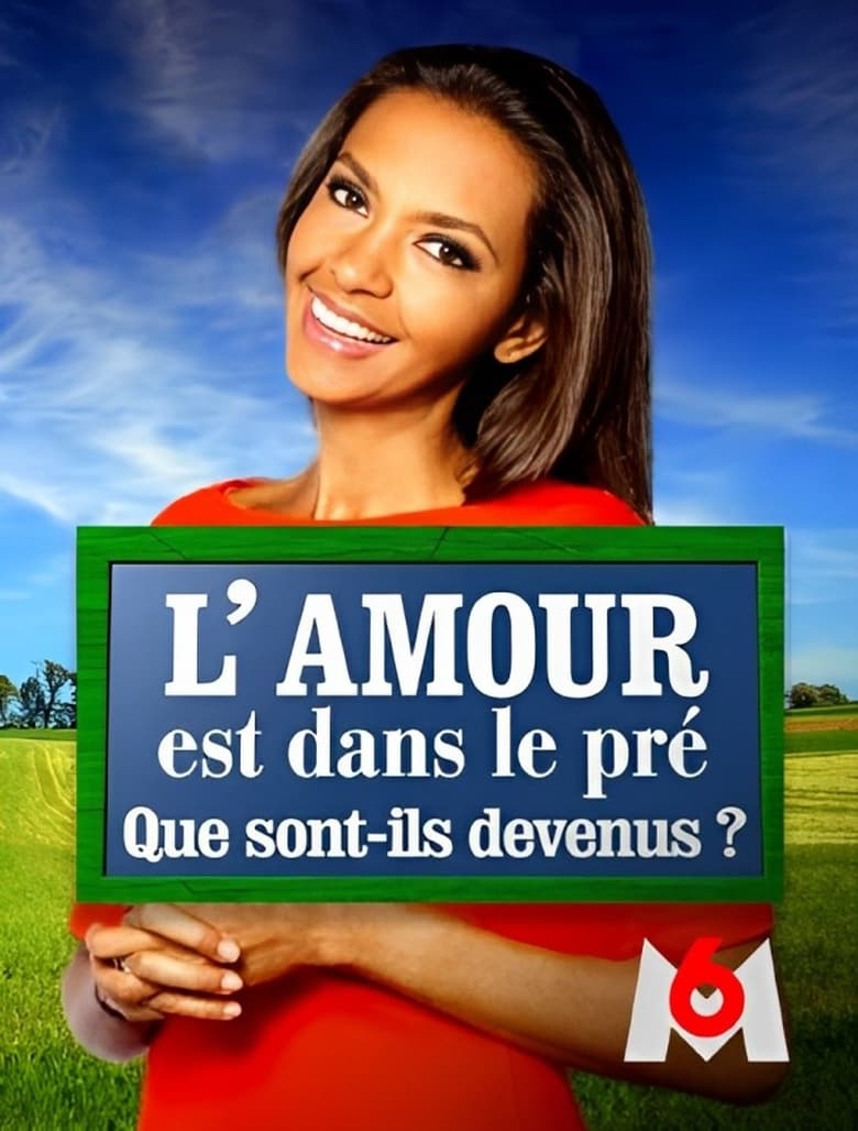 Poster of L'amour est dans le pré : que sont-ils devenus ?