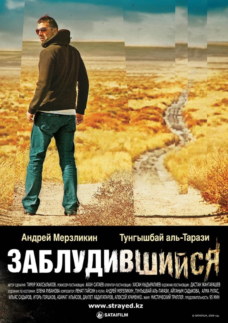 Poster of Strayed