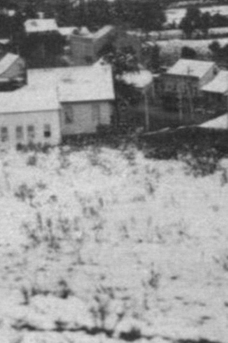 Poster of Snow in Curitiba