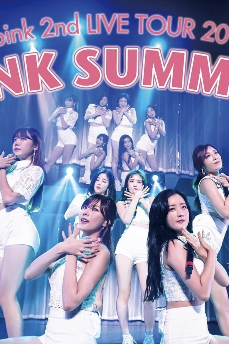 Poster of Apink 2nd LIVE TOUR 2016 -PINK SUMMER-