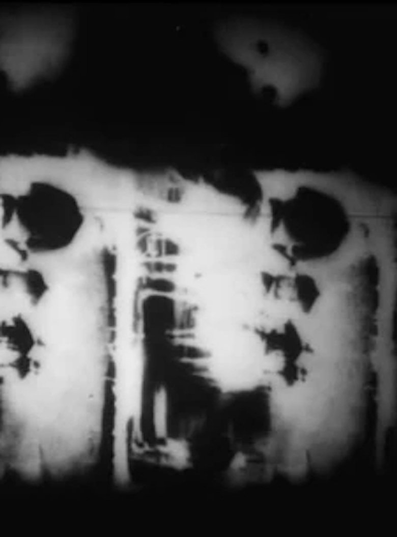 Poster of Gossamer Walls