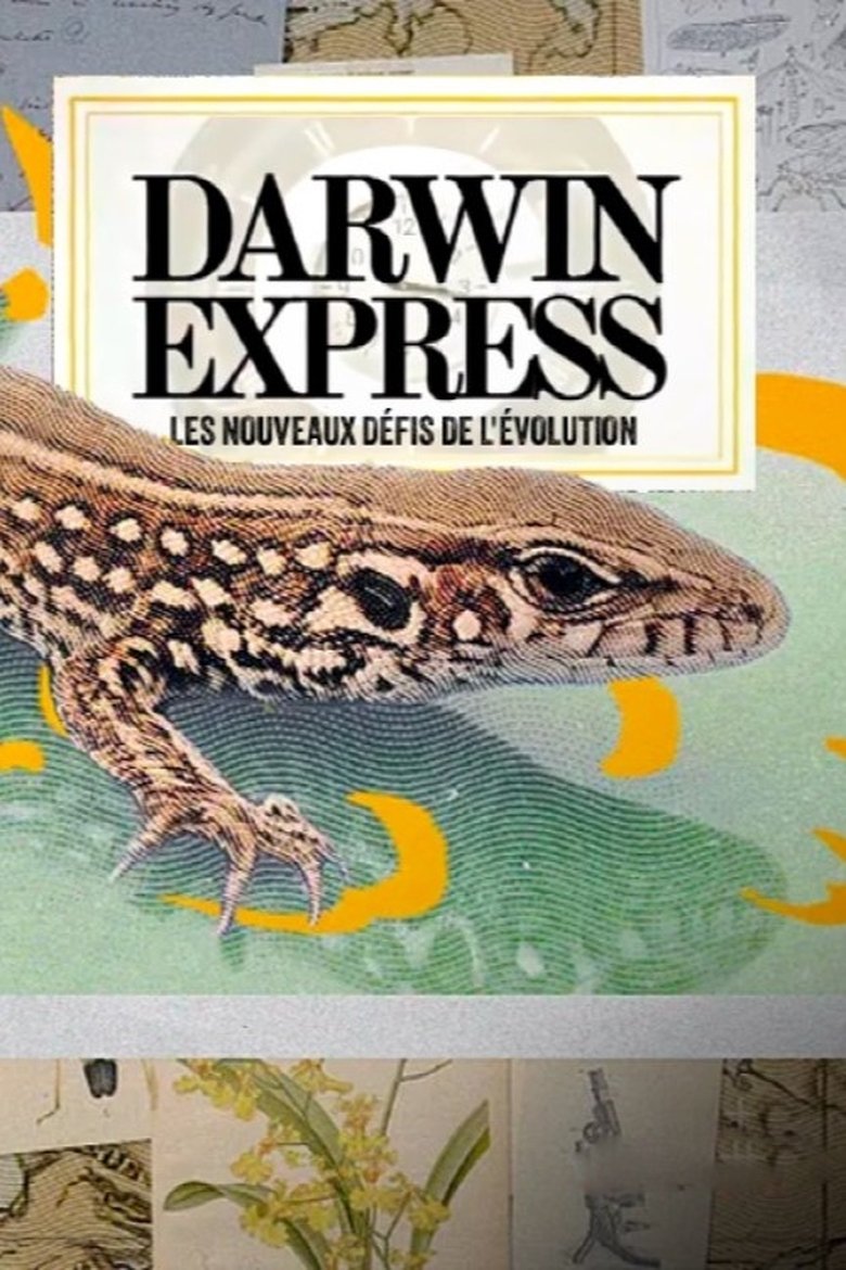 Poster of Darwin express - Les nouveaux défis de l'évolution