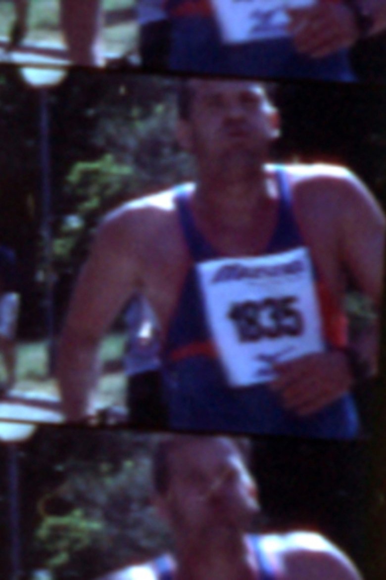 Poster of The Running