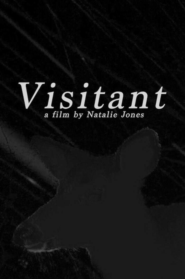 Poster of Visitant