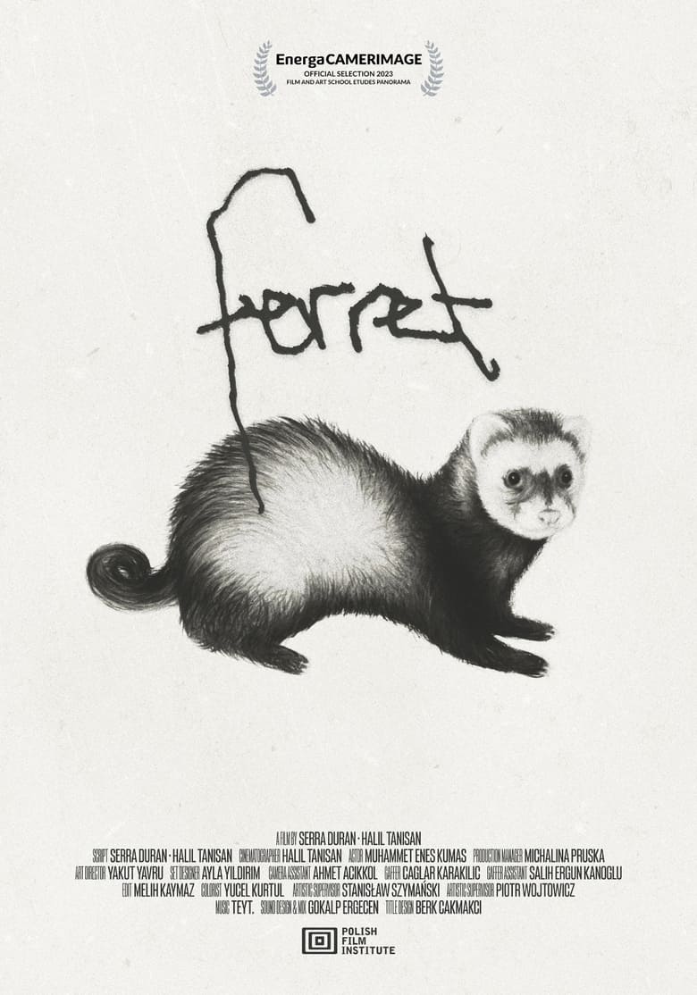 Poster of Ferret