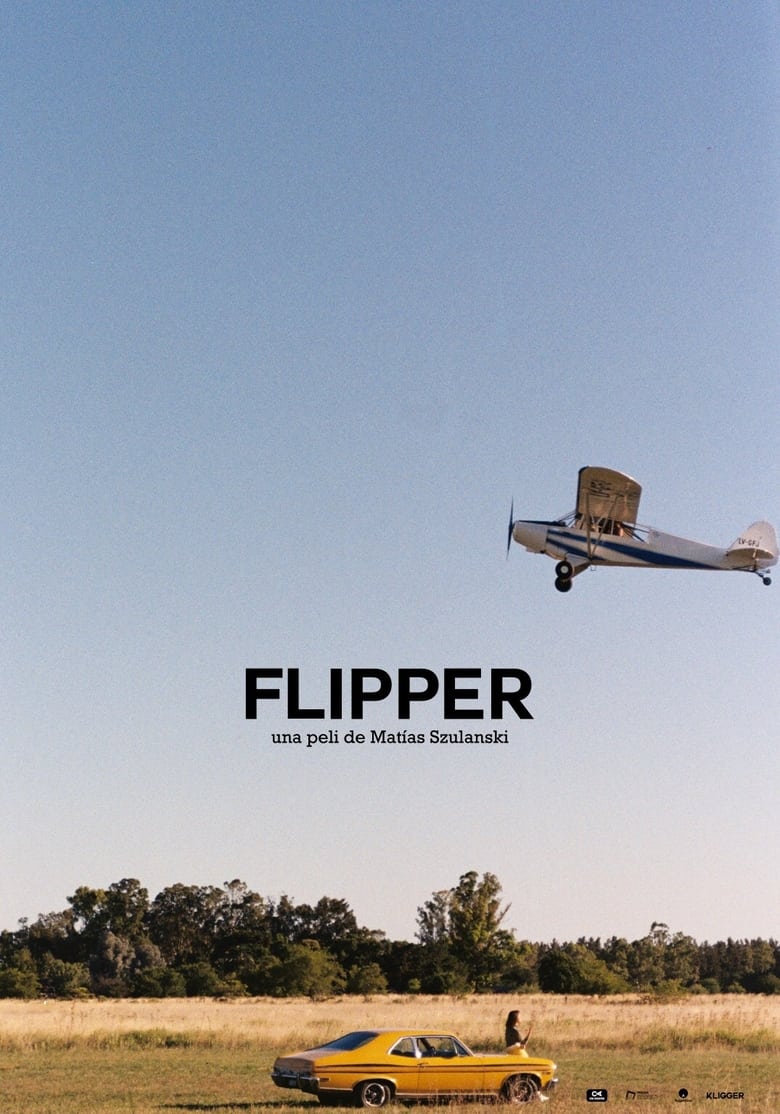 Poster of Flipper