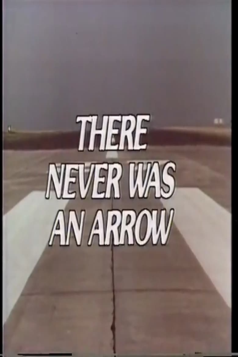 Poster of There Never Was an Arrow