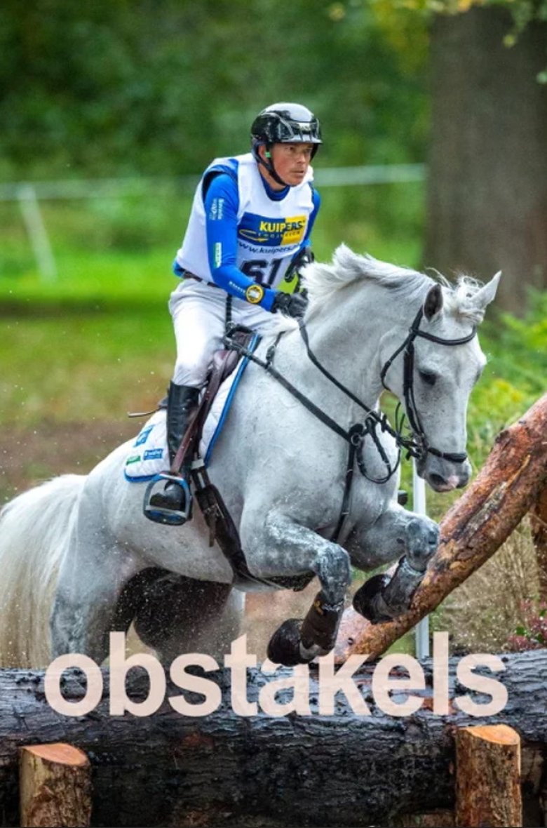 Poster of Obstacles