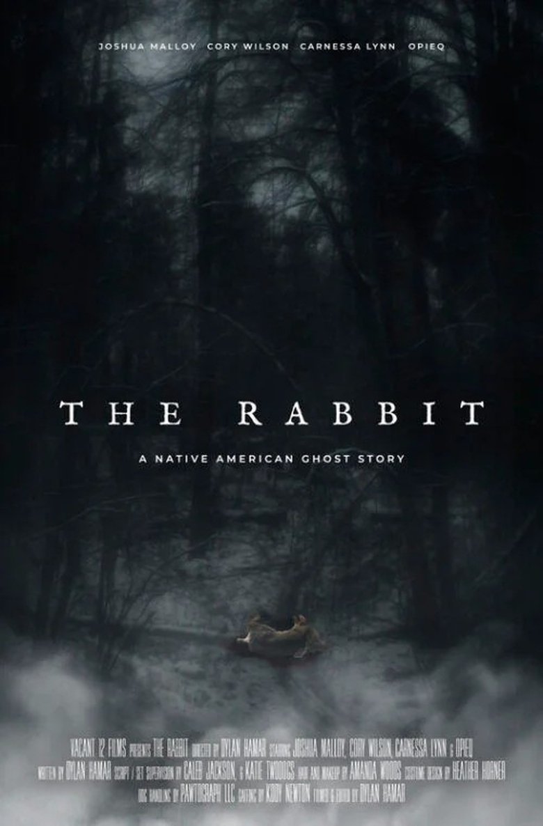 Poster of The Rabbit