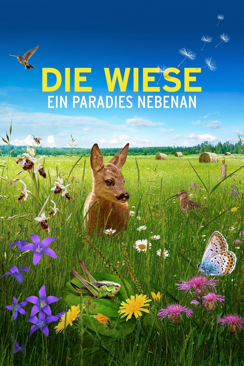 Poster of Die Wiese: Ein Paradies nebenan