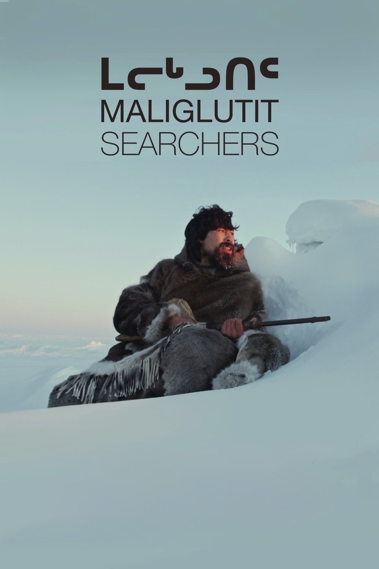 Poster of Searchers