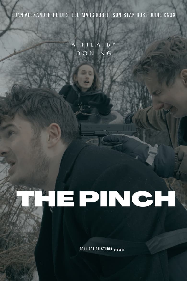 Poster of The Pinch