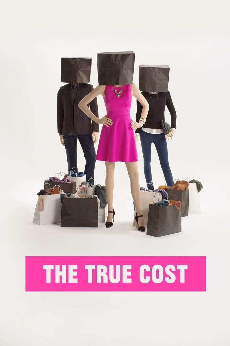 Poster of The True Cost