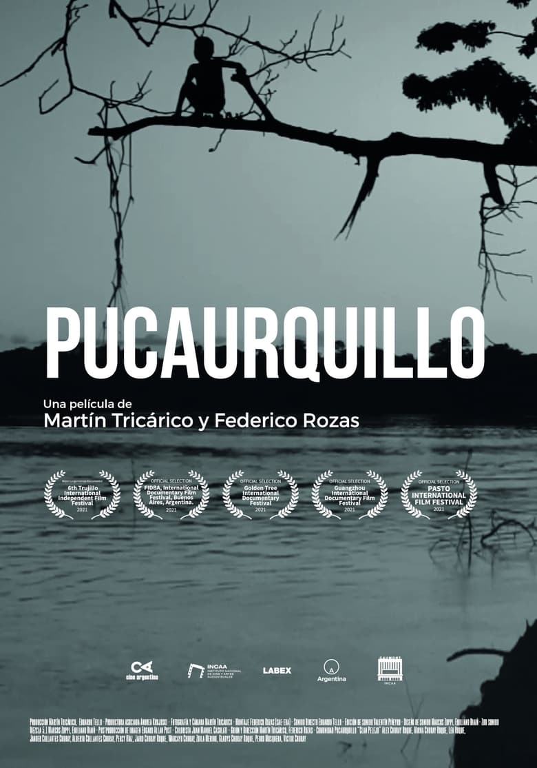 Poster of Pucaurquillo