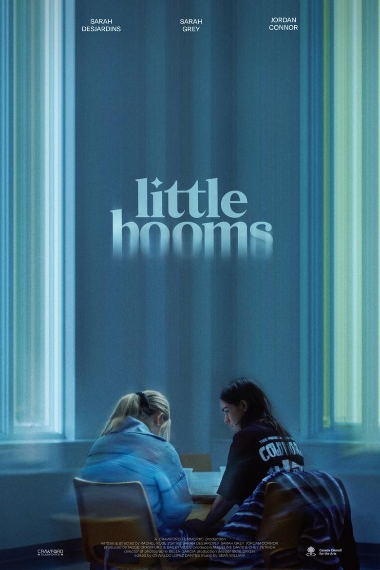 Poster of Little Booms