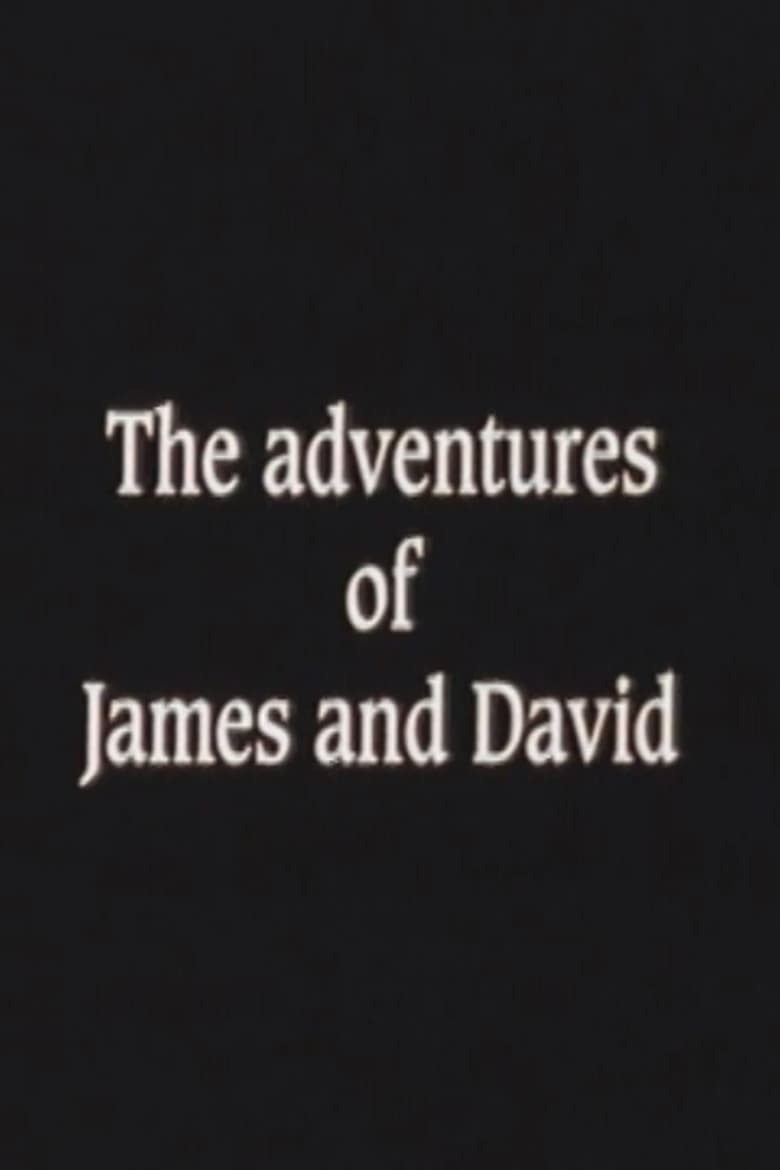 Poster of The Adventures of James and David