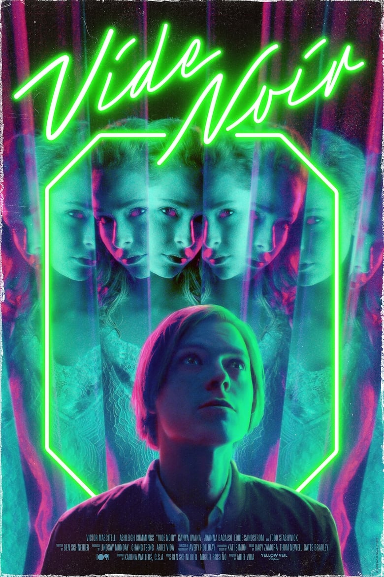 Poster of Vide Noir