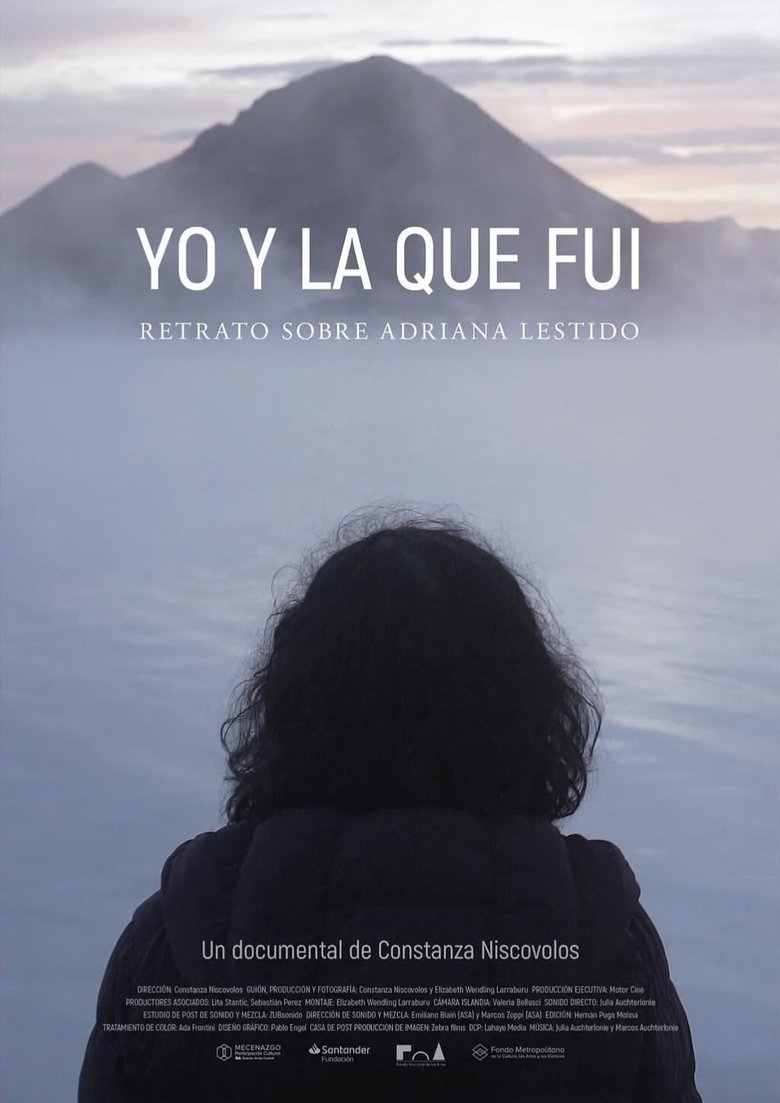 Poster of Yo y la que fui