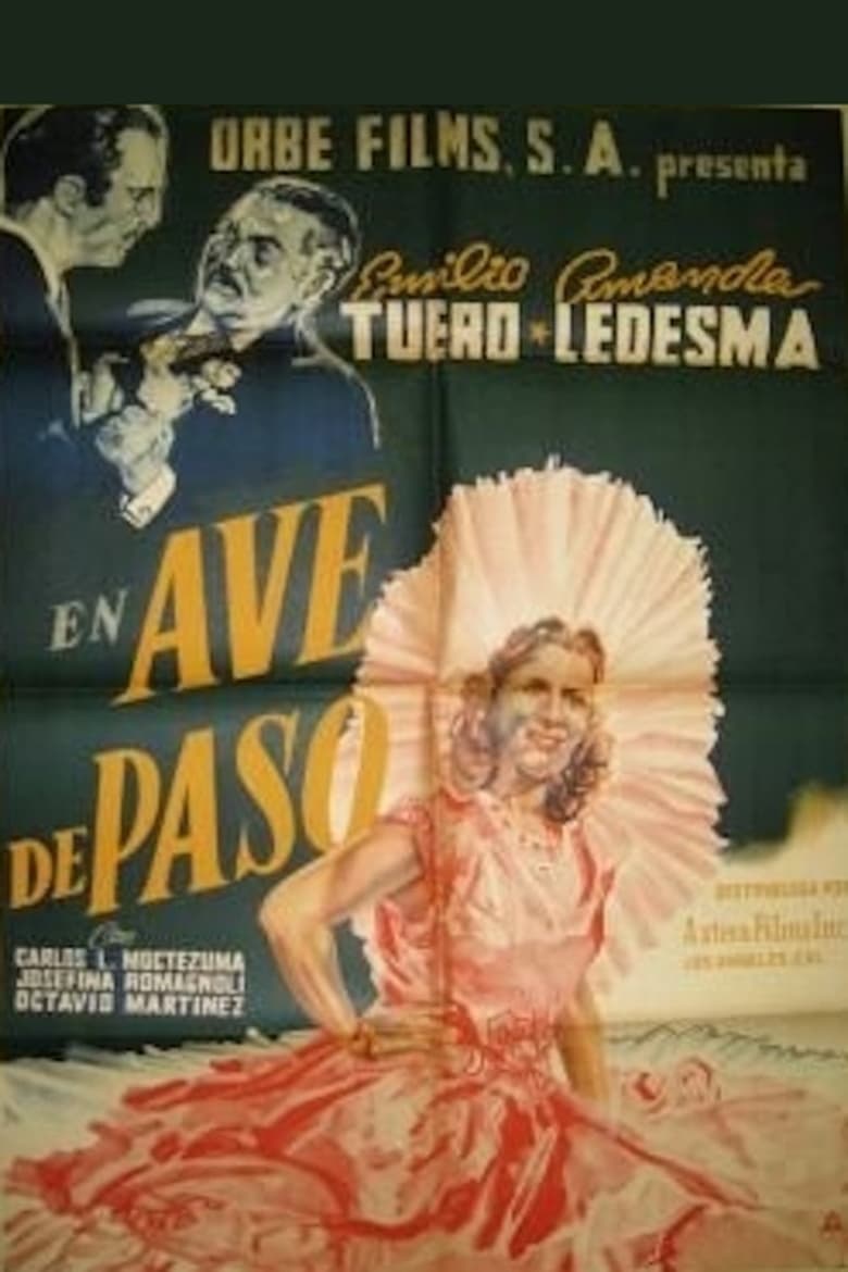 Poster of Ave de paso