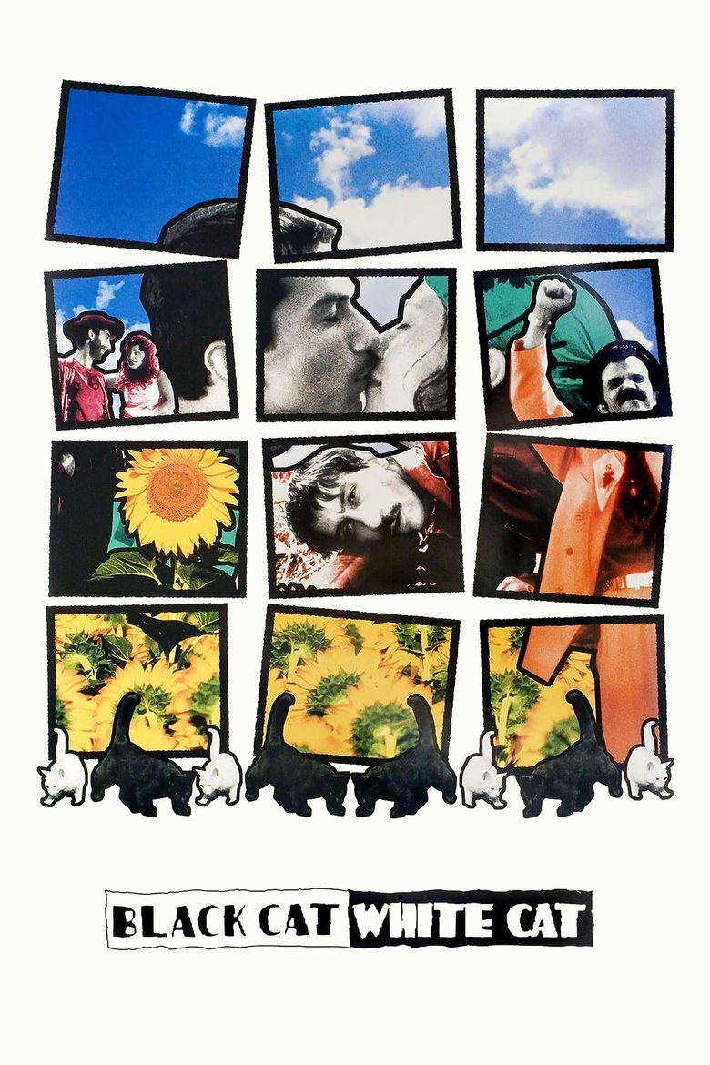 Poster of Black Cat, White Cat