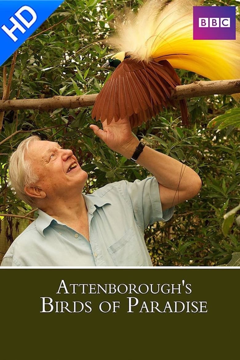 Poster of Birds of Paradise