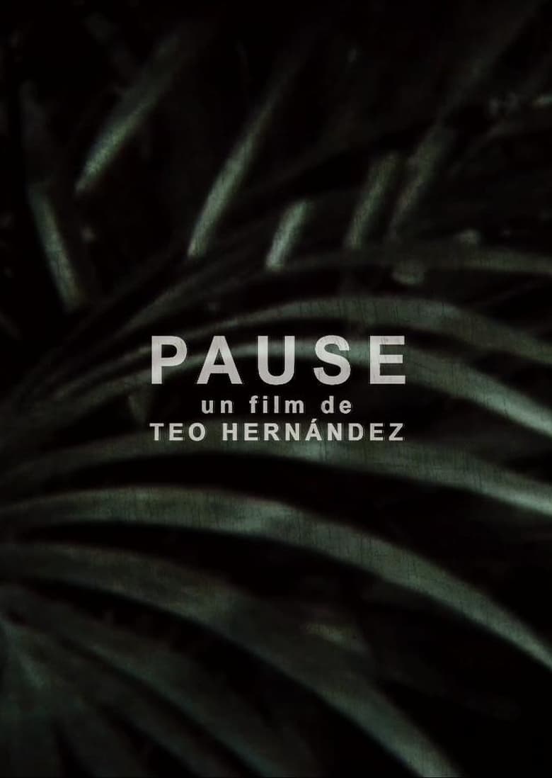 Poster of Pause