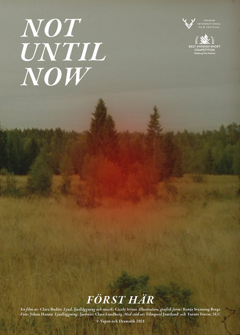 Poster of Not Until Now