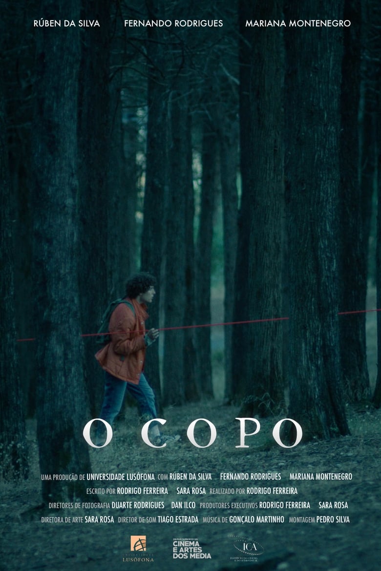 Poster of o copo