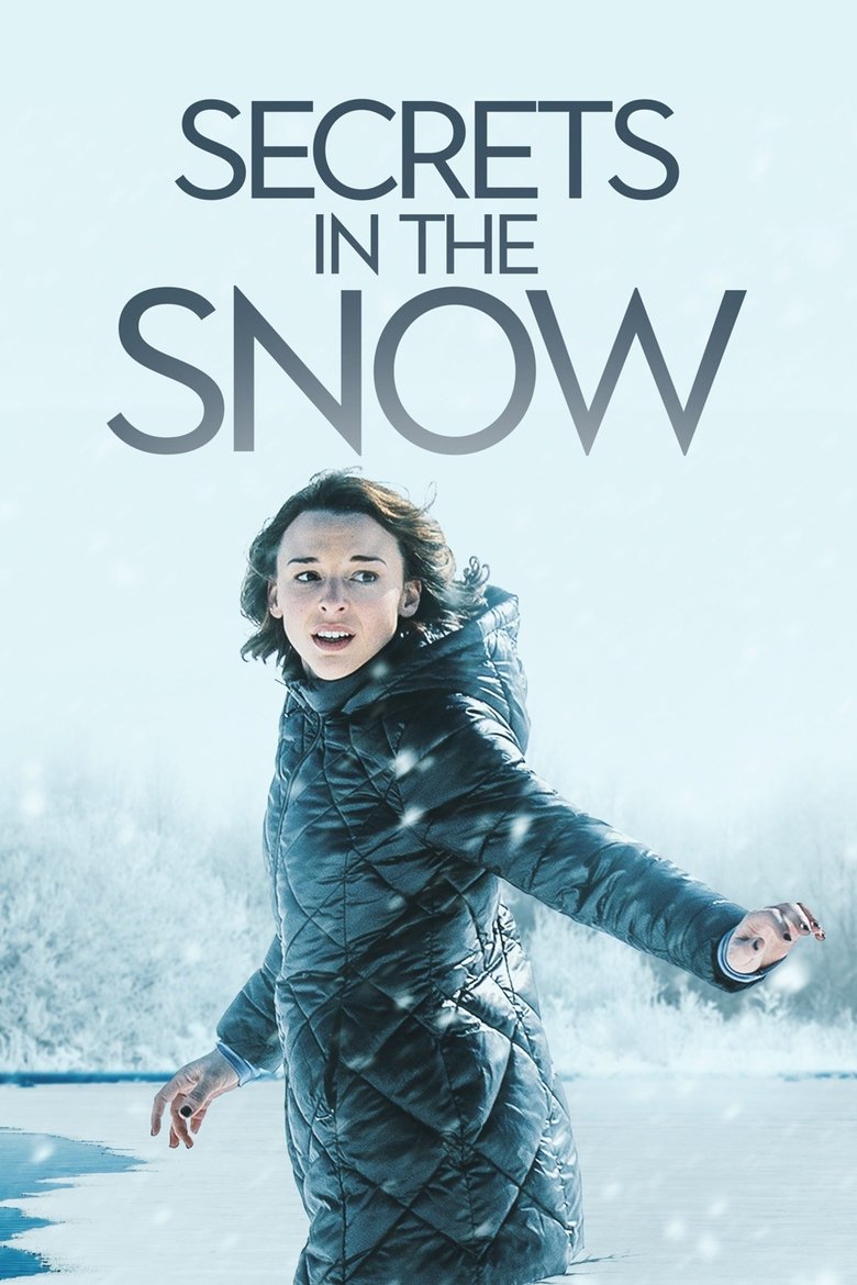 Poster of Secrets in the Snow