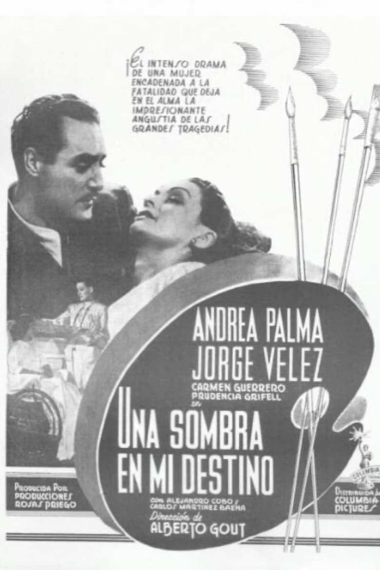 Poster of Una sombra en mi destino