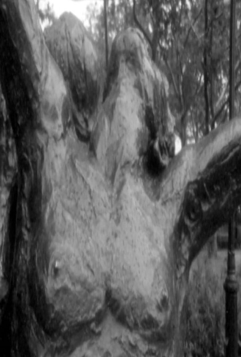 Poster of Fuzzy Forests and Looking Across the Stream