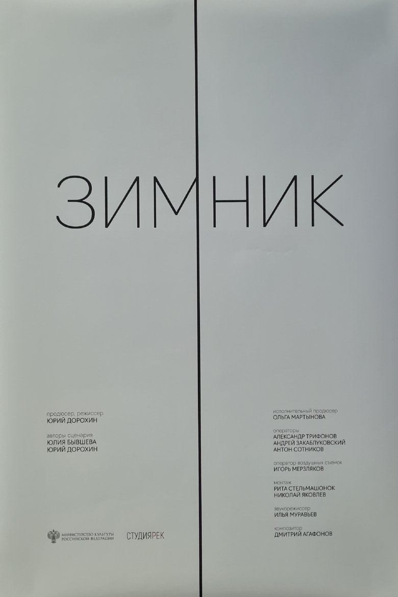 Poster of The Winter Road