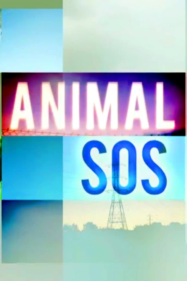 Poster of Animal SOS