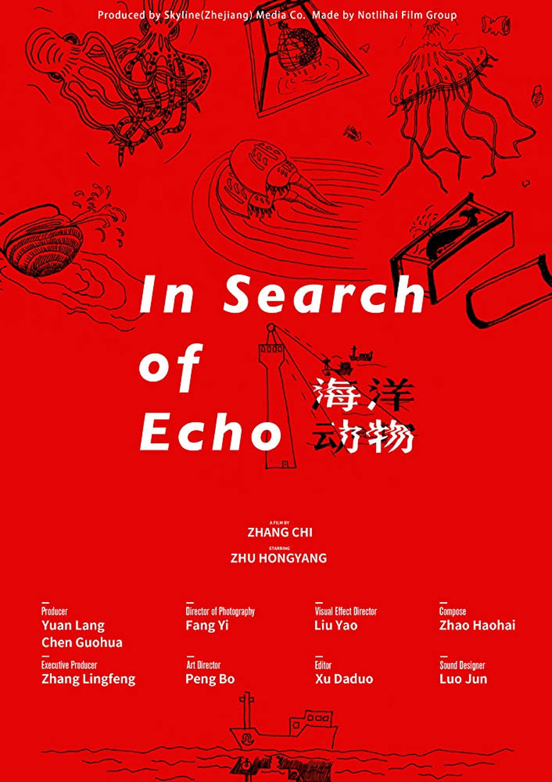 Poster of In Search Of Echo