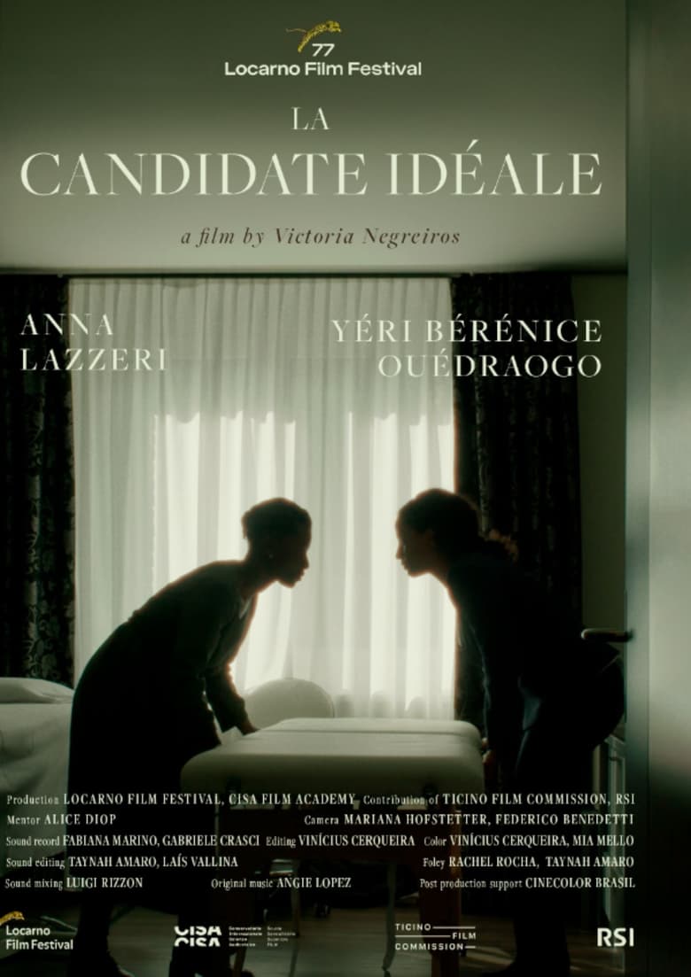 Poster of La Candidate idéale