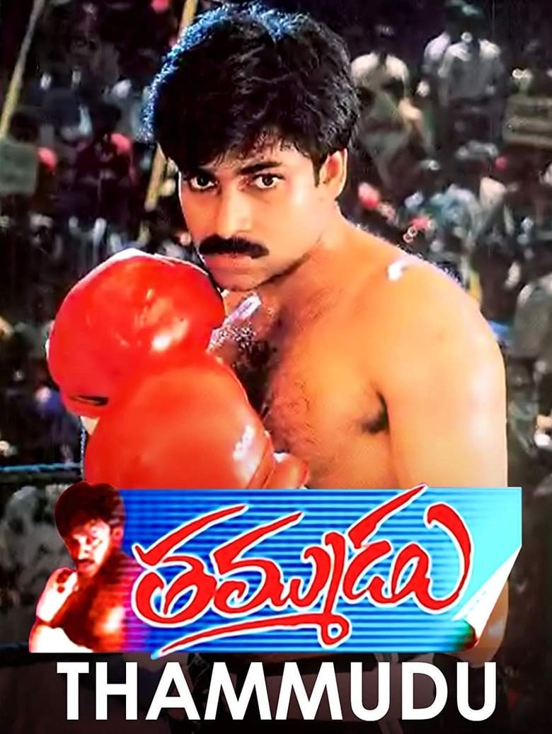 Poster of Thammudu