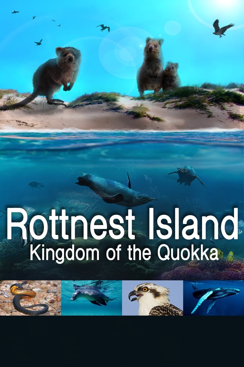 Poster of Rottnest Island: Kingdom Of The Quokka