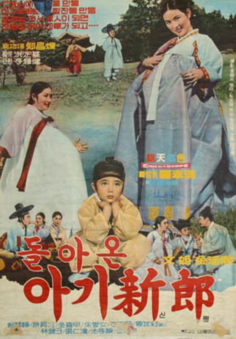 Poster of The Little Bridegroom's Return