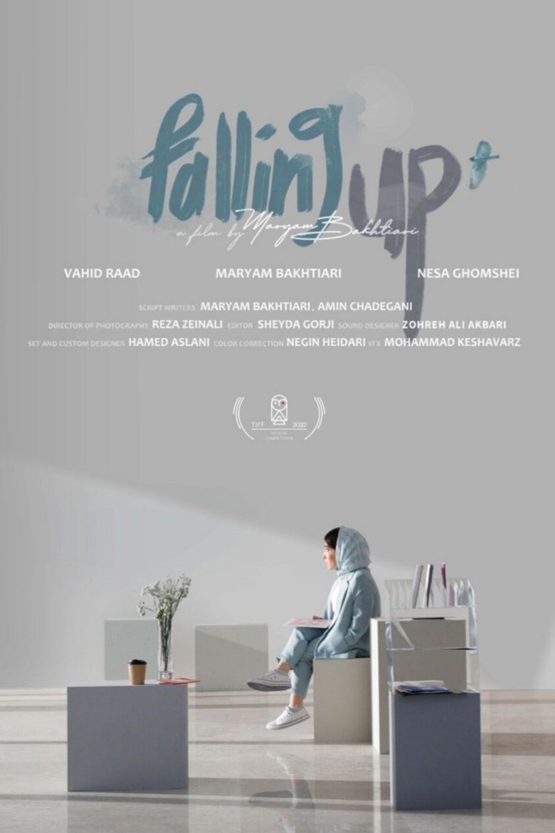 Poster of Falling Up